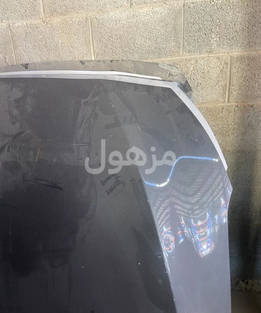 كبوت جينسس 2015-2019