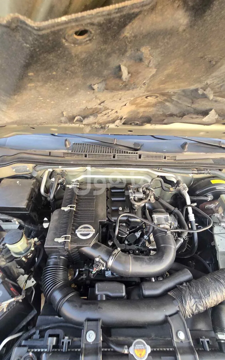 Nissan Navara engine model 2010. 2011