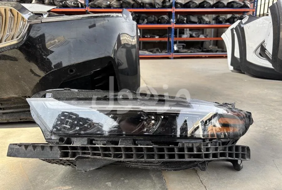 Accord light 2024-2025