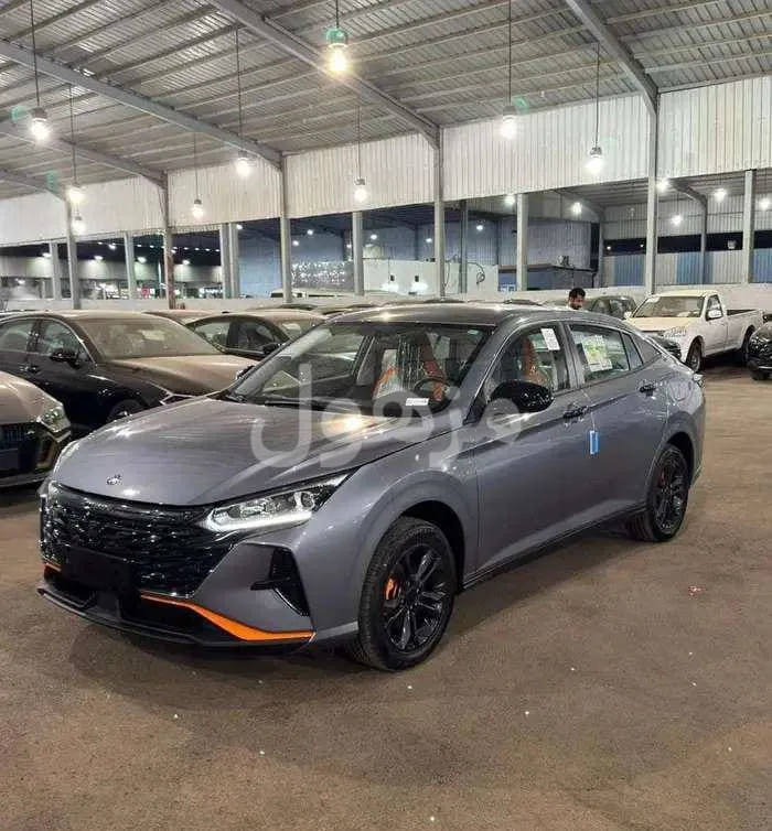 دونج فينج شاين E1 2026 جديد مقاعد جلد كاميرا خلفية - جدة