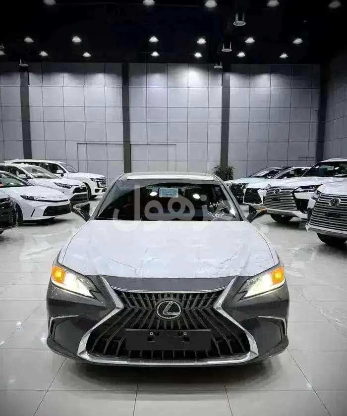 Lexus ES 250 AA 2025, Sunroof, Agency - Riyadh