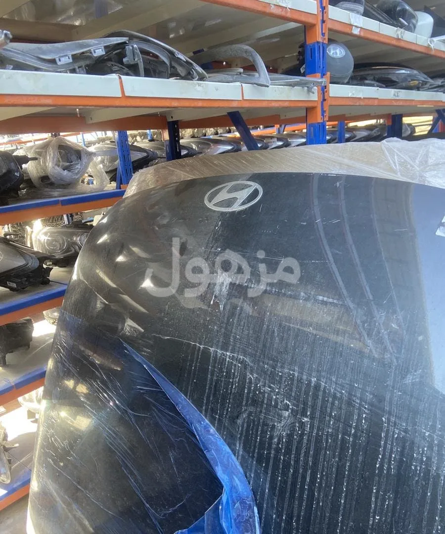 Bonnet Azera 2024-2025
