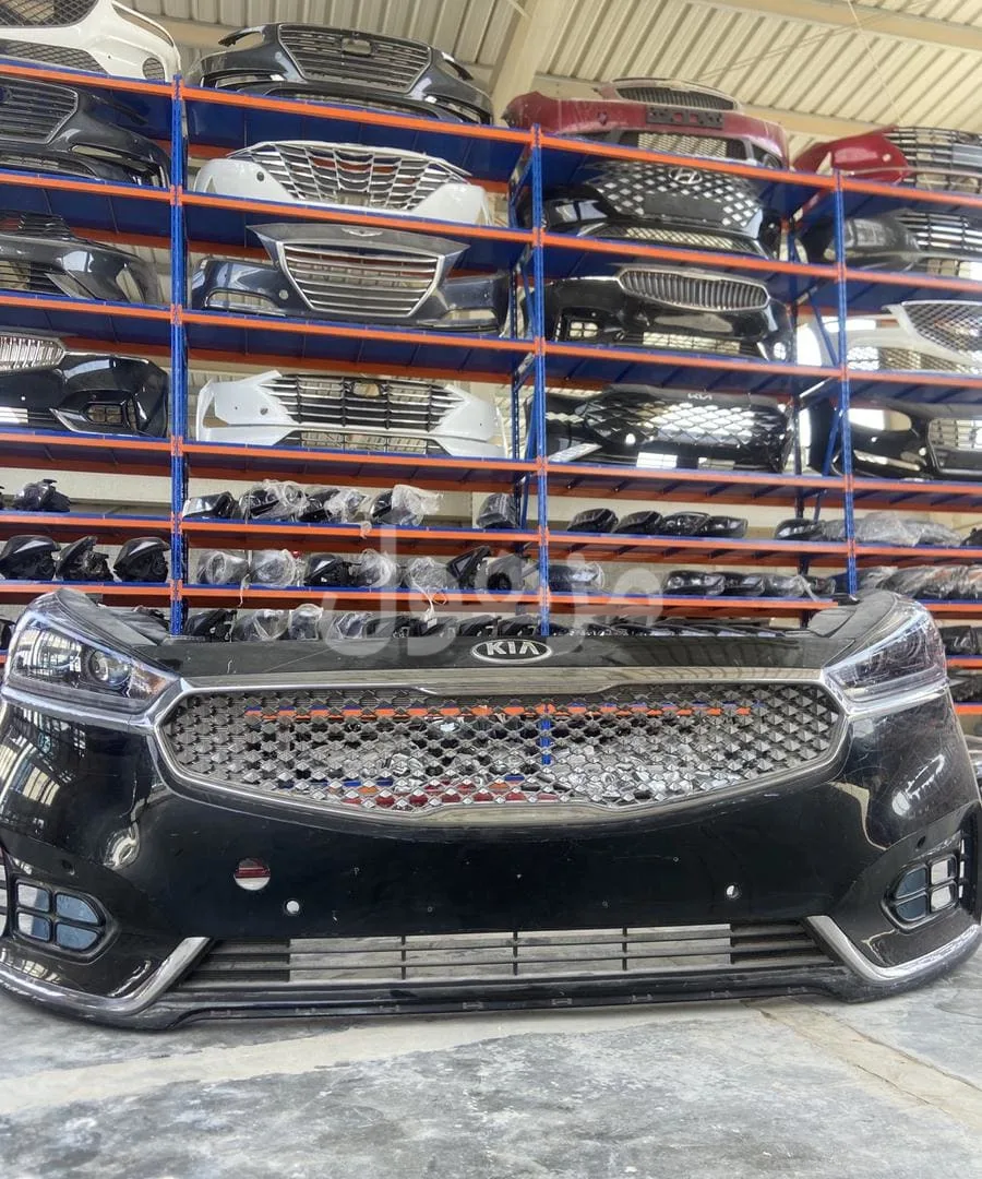 Front end for Cadenza 2017-2020 bumper lights