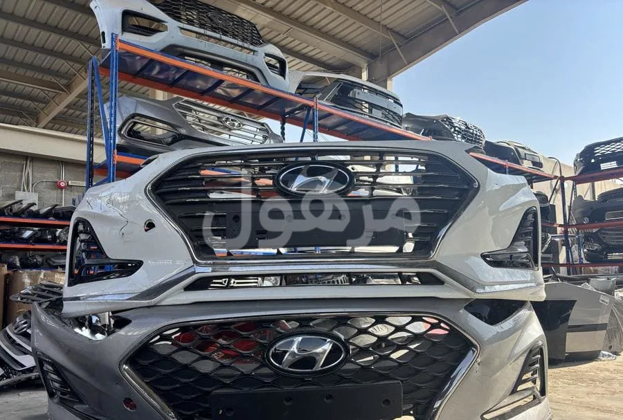 صدام سوناتا 2018-2019