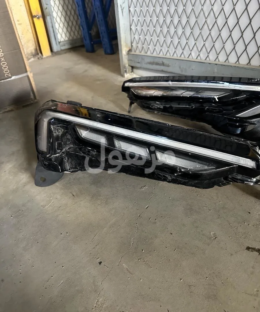 Ford Territory 2021-2025 lights, agency