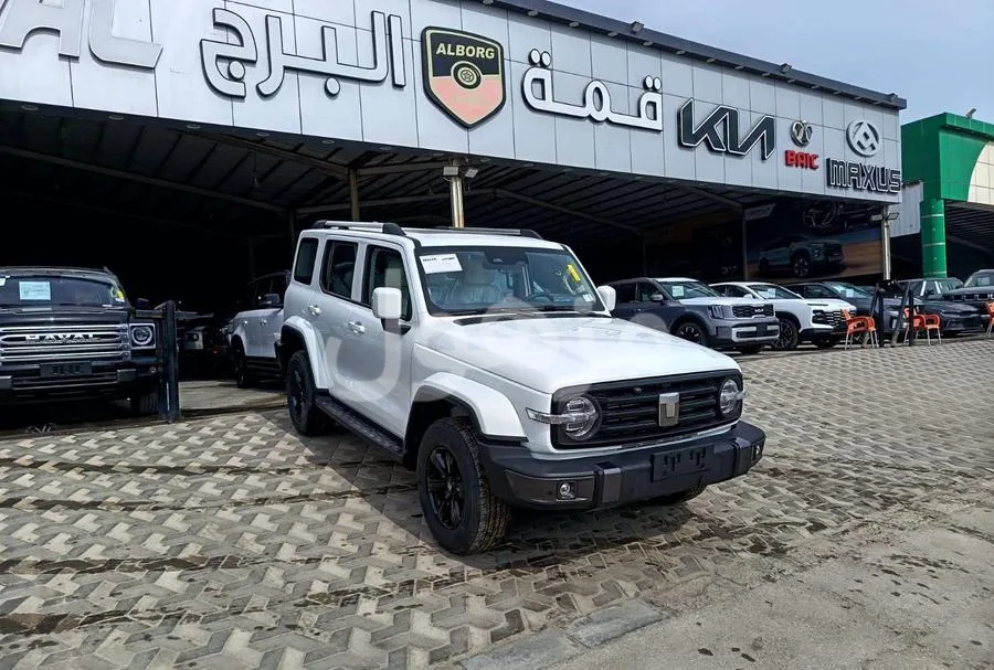 Tank Tank 300 2026, Nappa Leather, Massage, 360 Cameras - Dammam