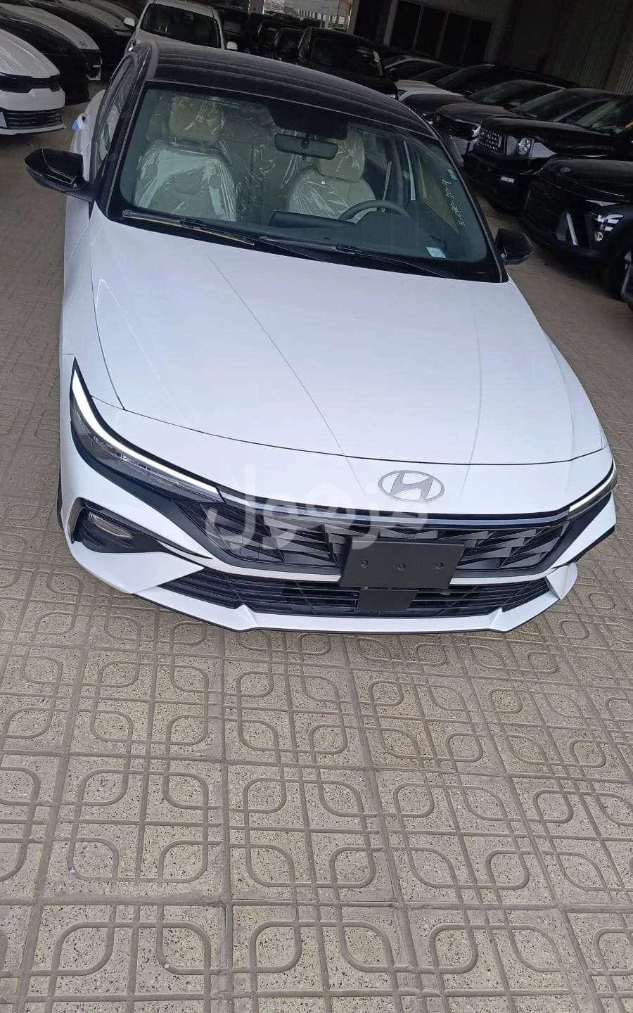 Hyundai Elantra 2026 Smart White Black Roof Saudi Dealer - Riyadh