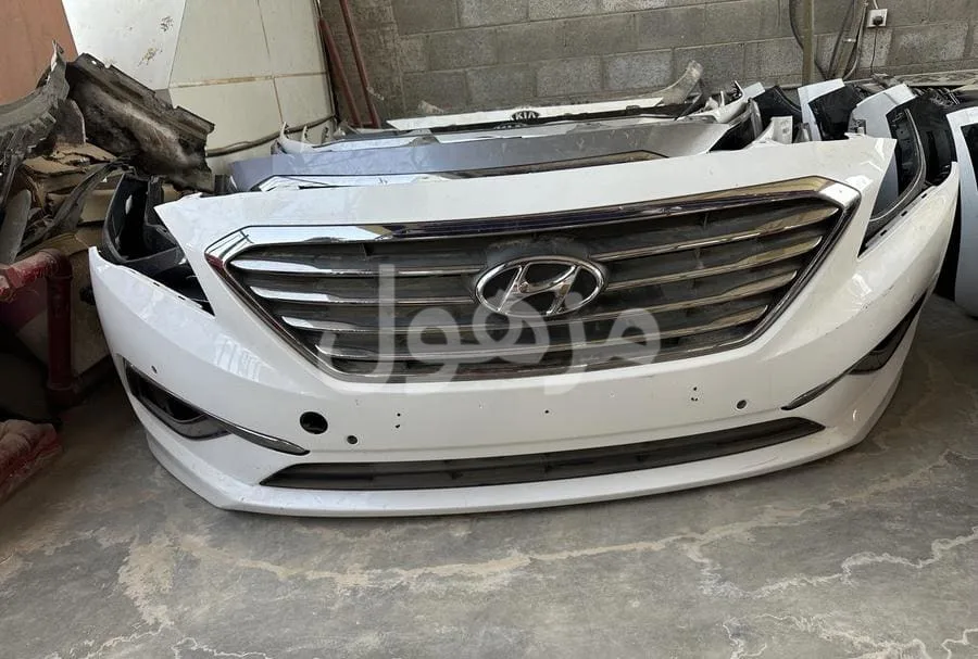 Sonata bumper 2016-2017 white