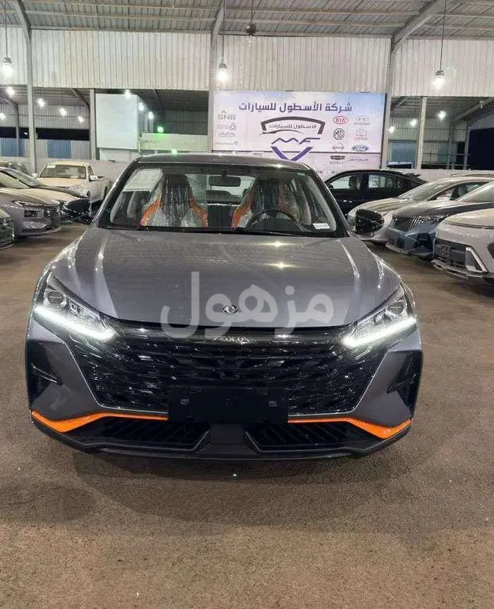 دونج فينج شاين E1 2026 جديد كاميرا خلفية مقاعد جلد - جدة